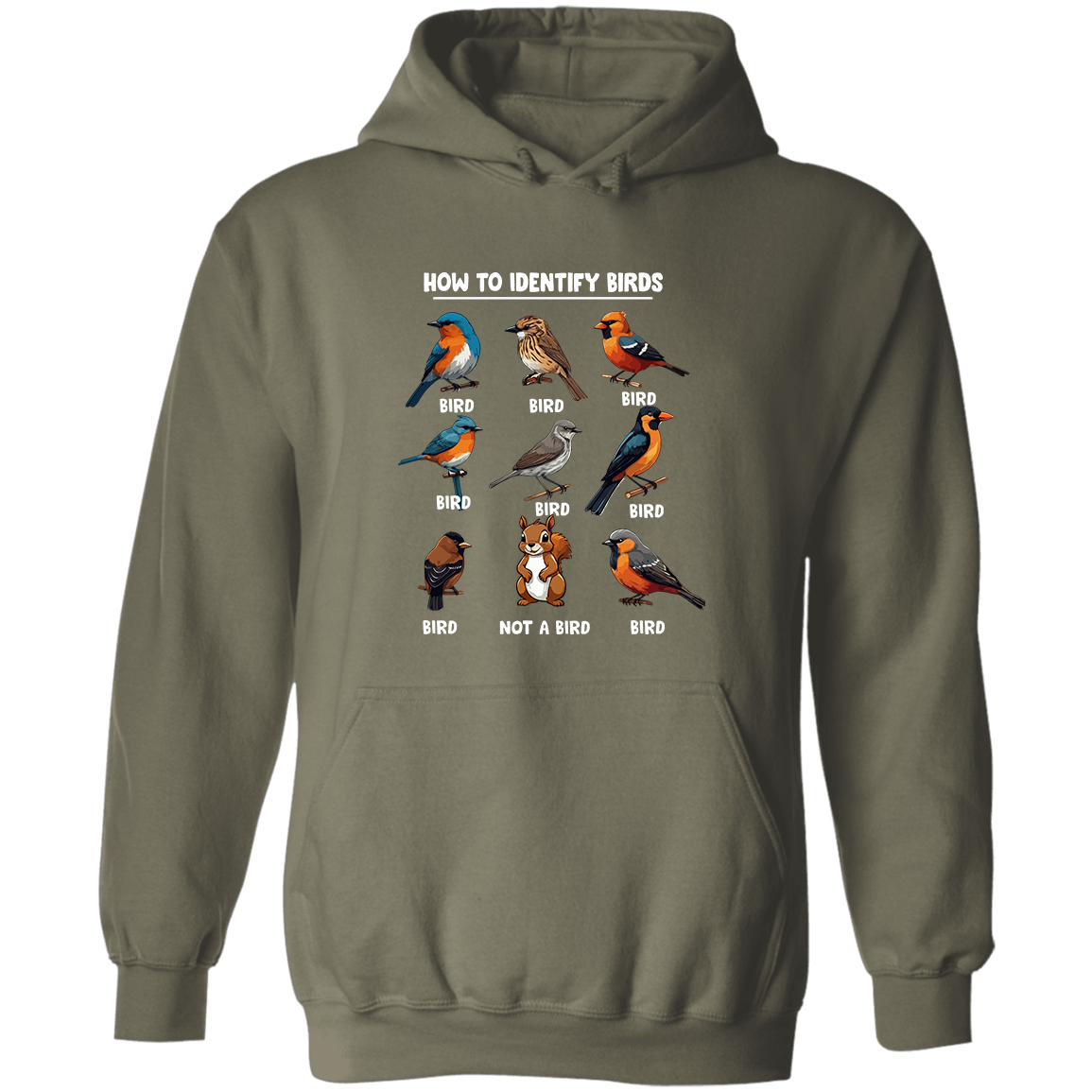 How to Identify Birds, Hoodie