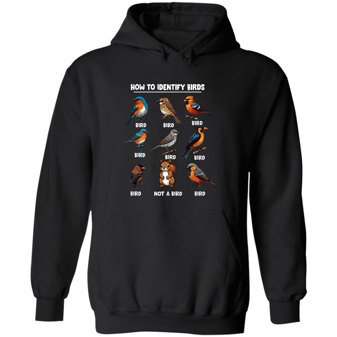 How to Identify Birds, Hoodie