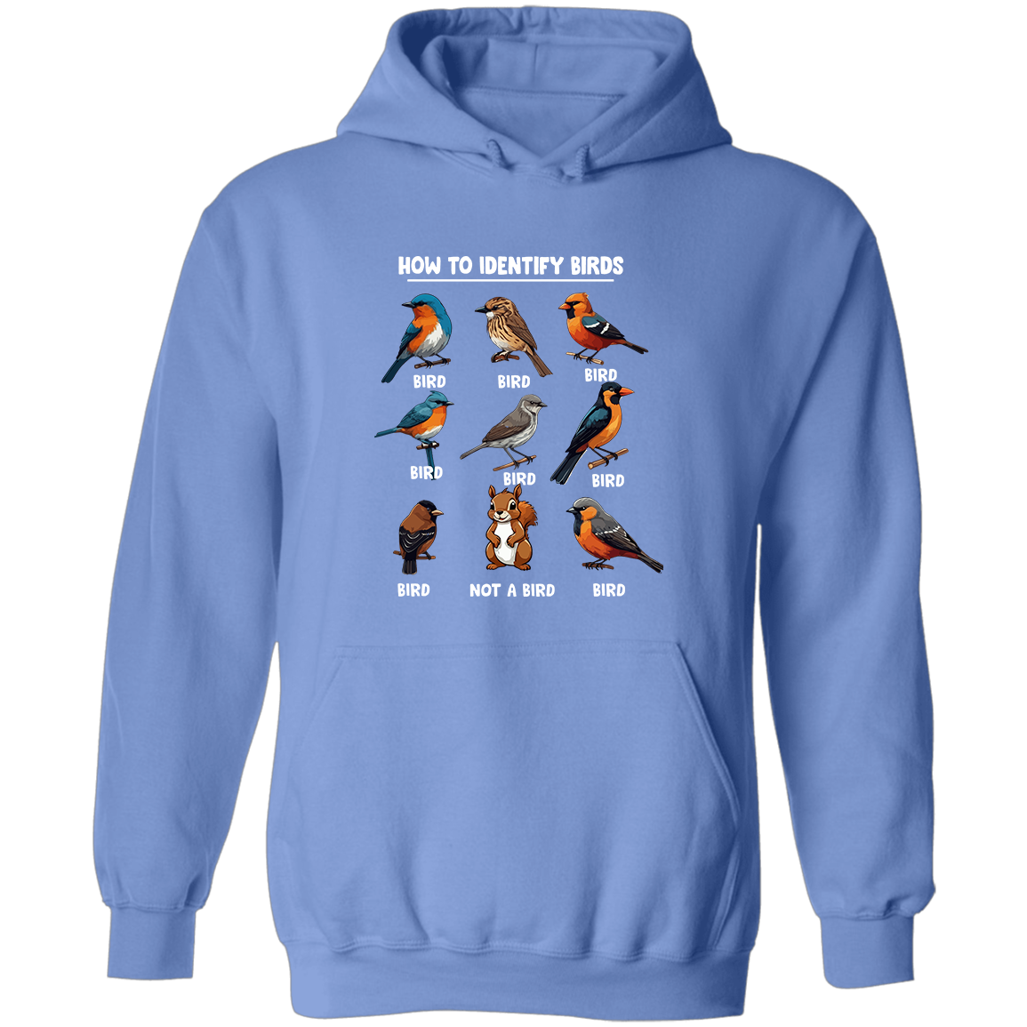 How to Identify Birds, Hoodie