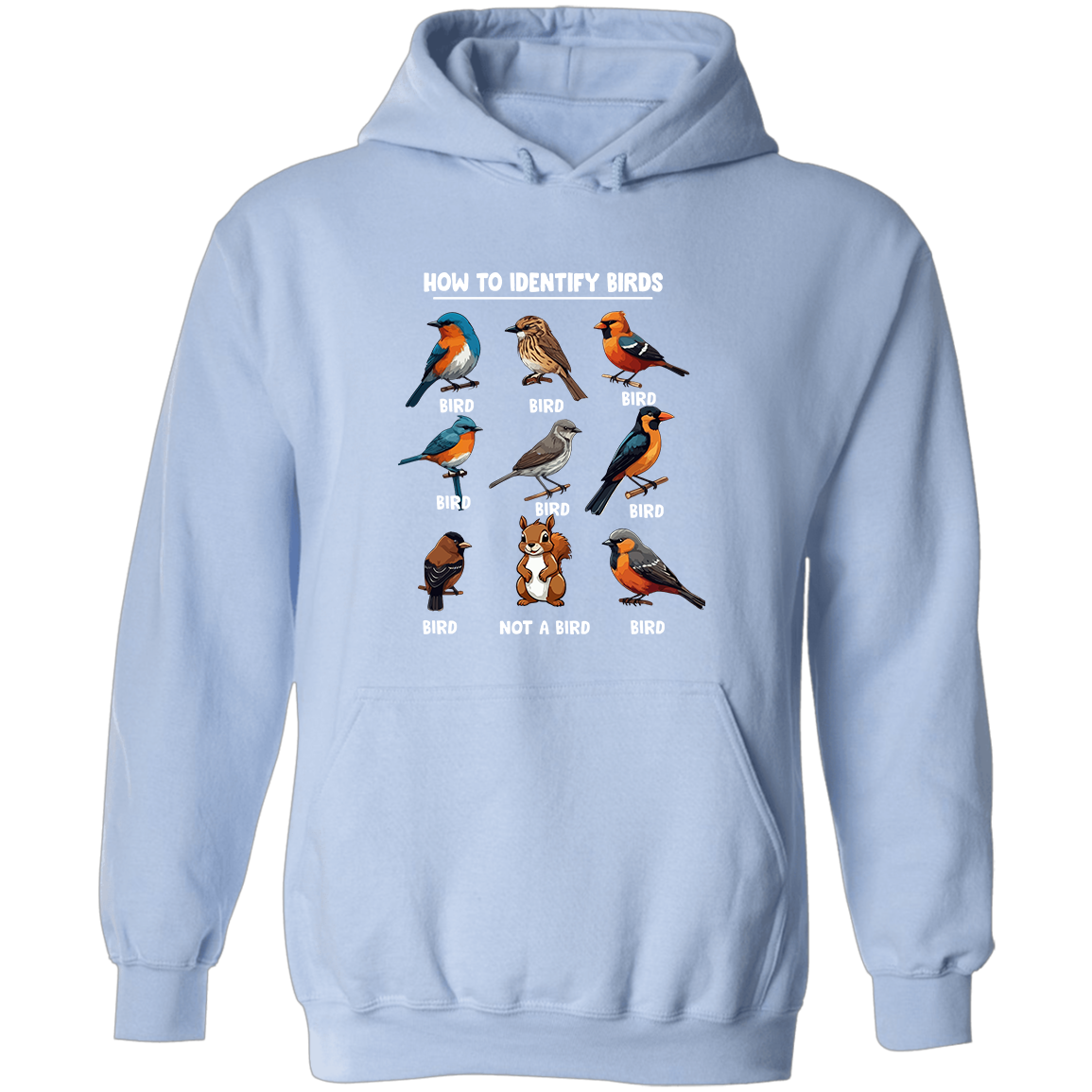 How to Identify Birds, Hoodie