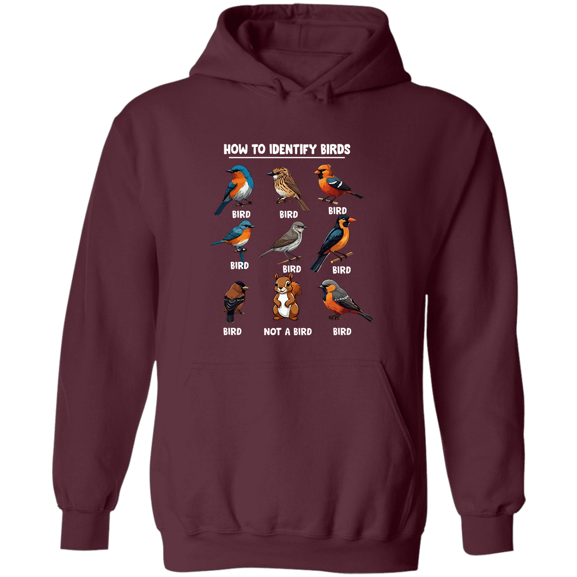 How to Identify Birds, Hoodie