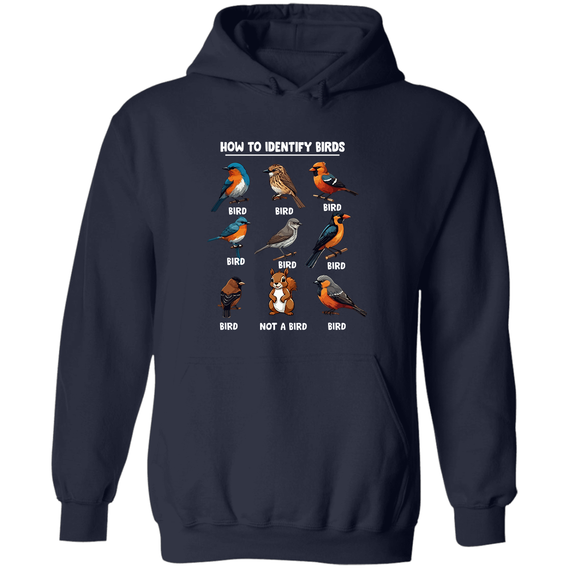 How to Identify Birds, Hoodie