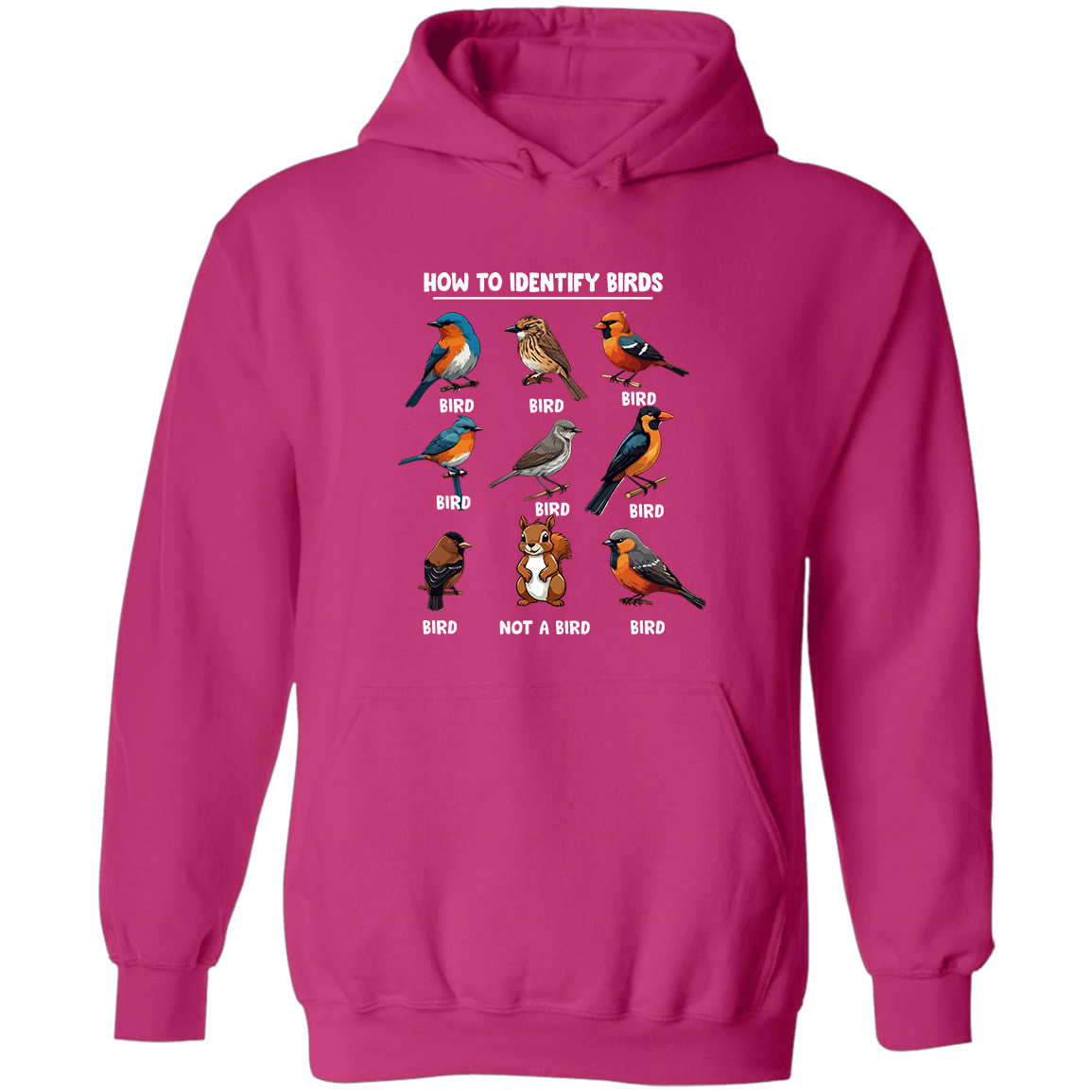 How to Identify Birds, Hoodie