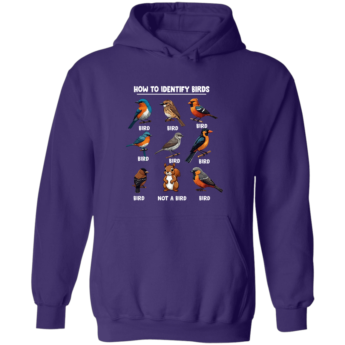 How to Identify Birds, Hoodie